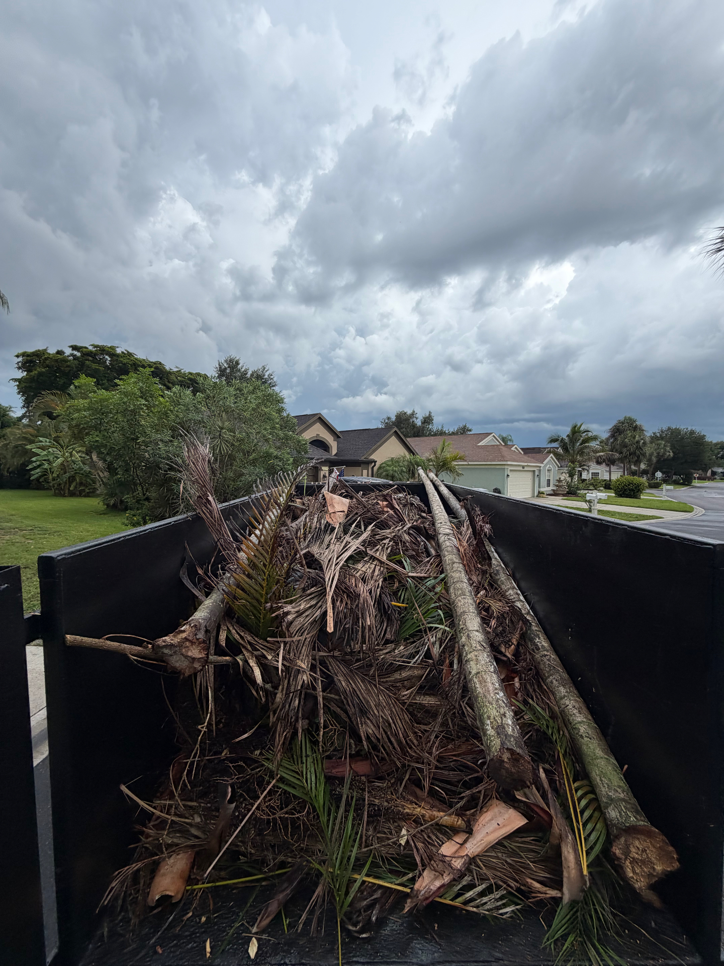 Yard debris and palm fronds loaded in dump trailer at residential property