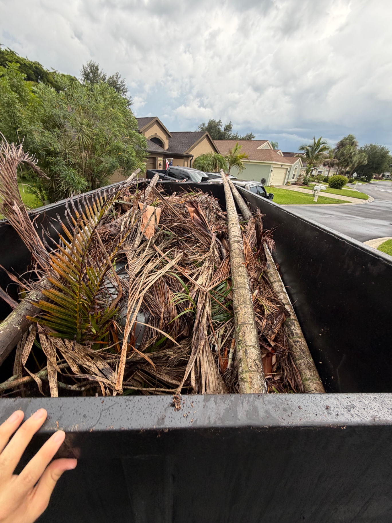 Storm debris and palm tree cleanup loaded in dump trailer in SWFL neighborhood